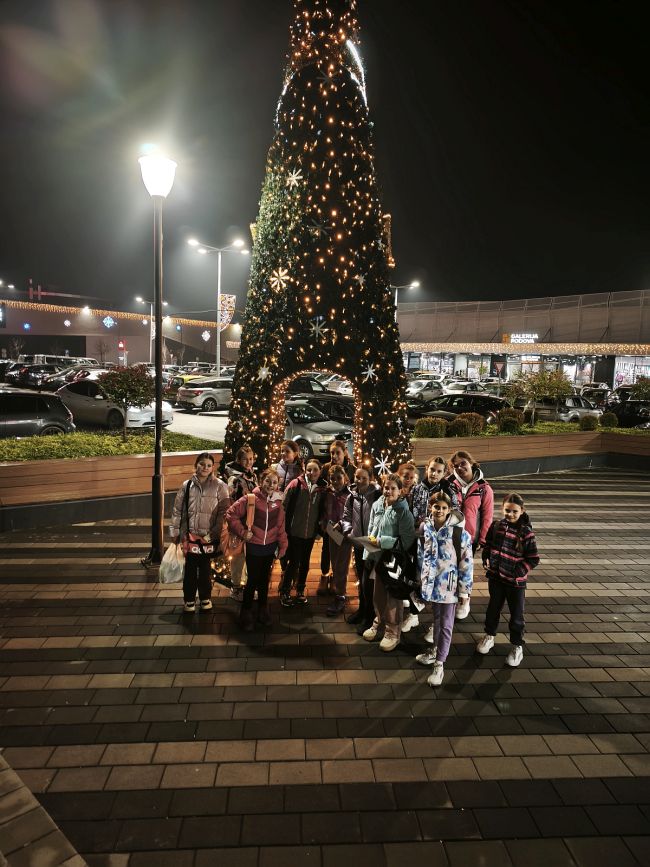 aaaTehničarke iz Braće kod jelke